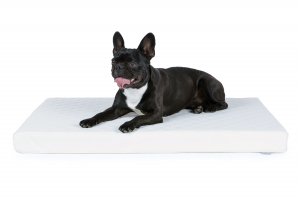 Nuvola Hundematte aus Kunstleder gesteppt 120x80 cm weiss