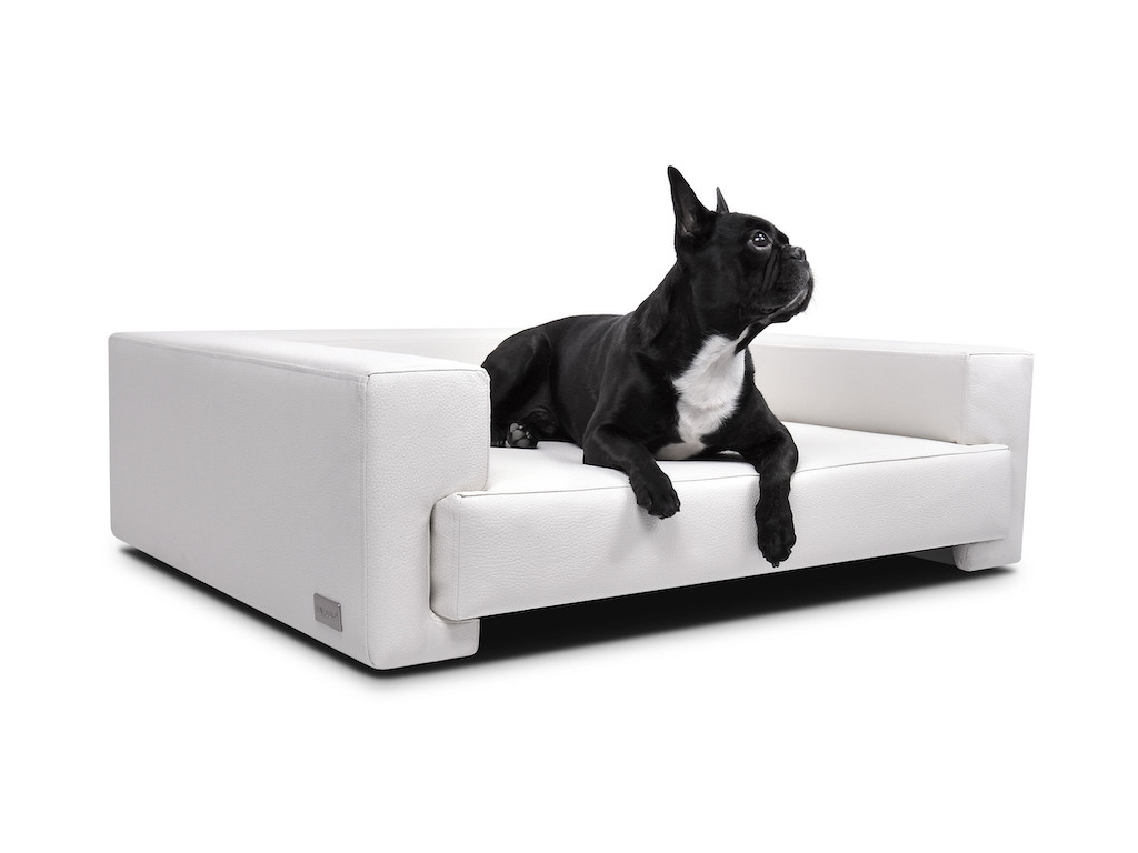 Design Hundesofa Boston