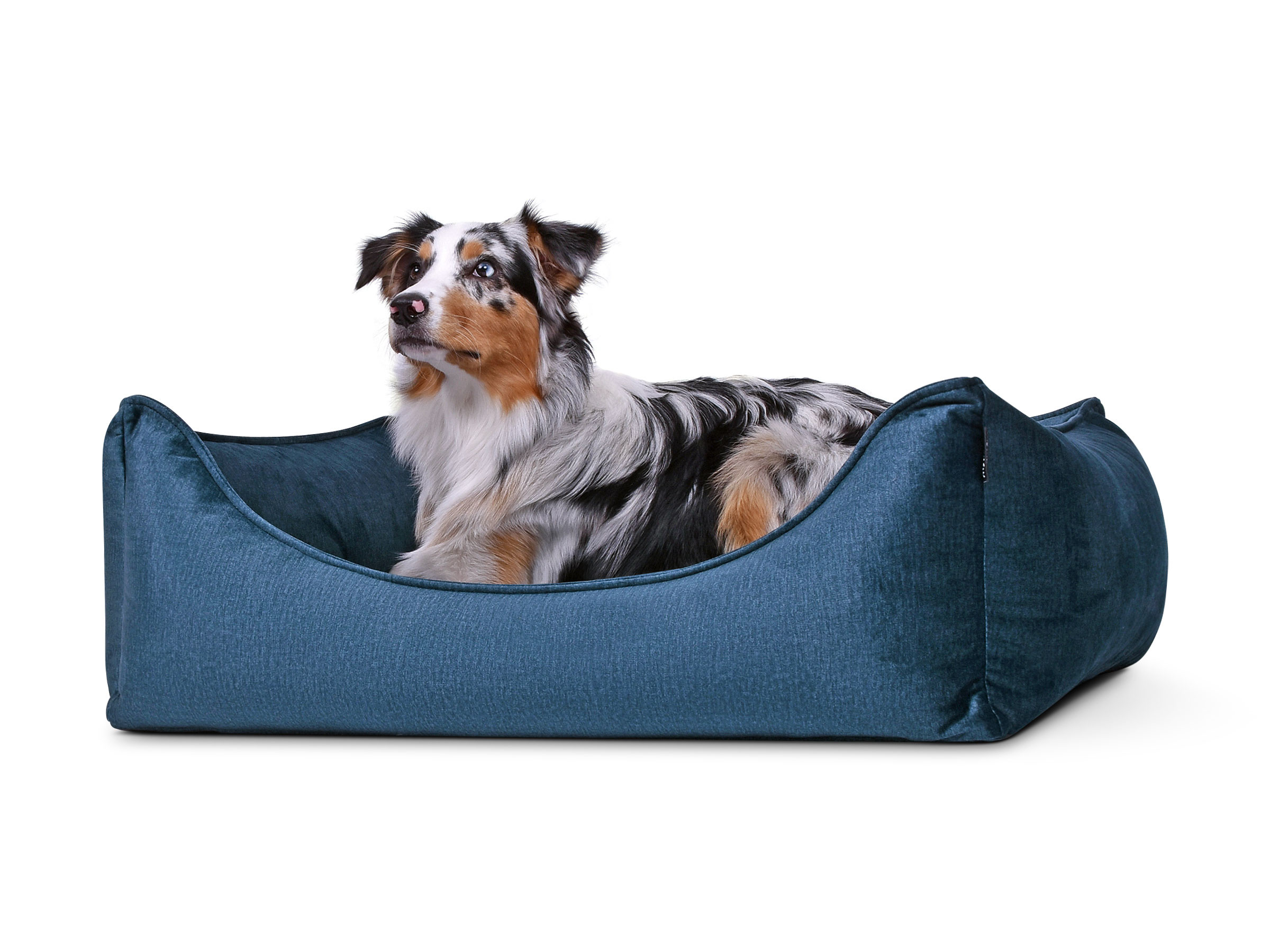 Hundebett Dreamcollection Softline