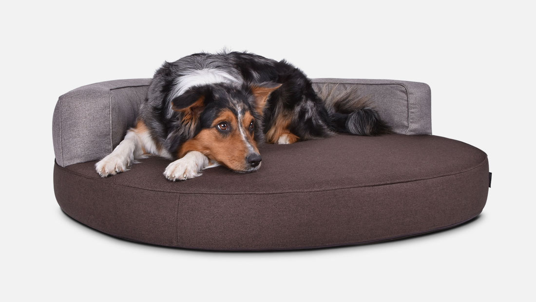 Hundesofa-Atlanta-Struqturo
