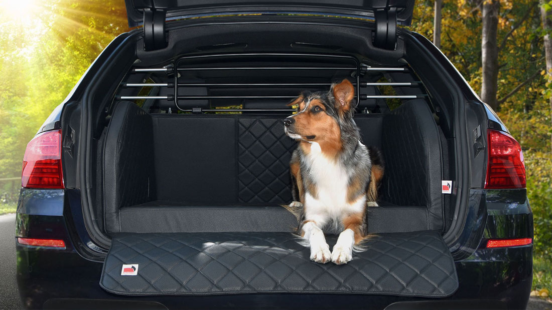 TIERVITAL NATURPRODUKTE - Auto Hundegiiter Roadmaster Deluxe