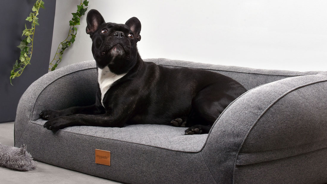 Hundett-Flo-Silverline-Design