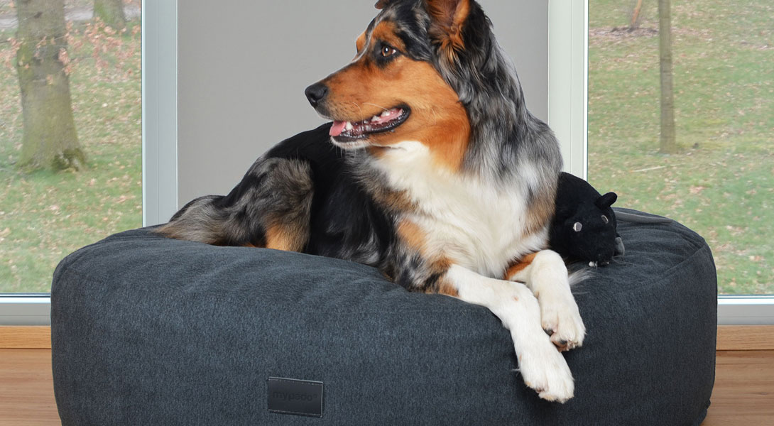 Mio Hundekissen Luxuryline
