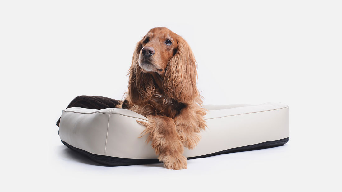 Kunstleder-Hundebett-Spring