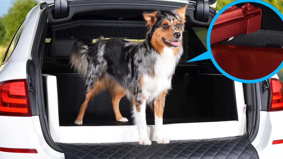 TIERVITAL NATURPRODUKTE - Hunde Autobett Travelmat duo Plus (DACIA)