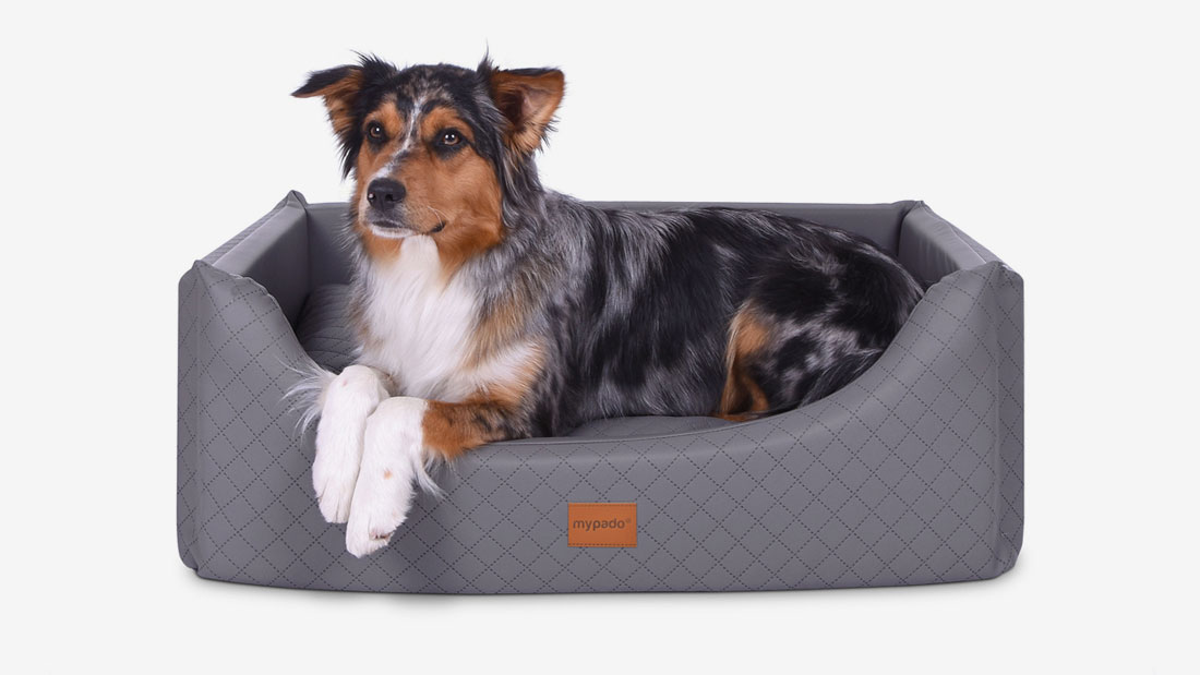 Alma Hundebett Kunstleder