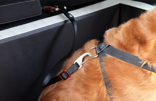 Auto Hund Barriere Hundeschutz Autonetz Isolierung Hintere