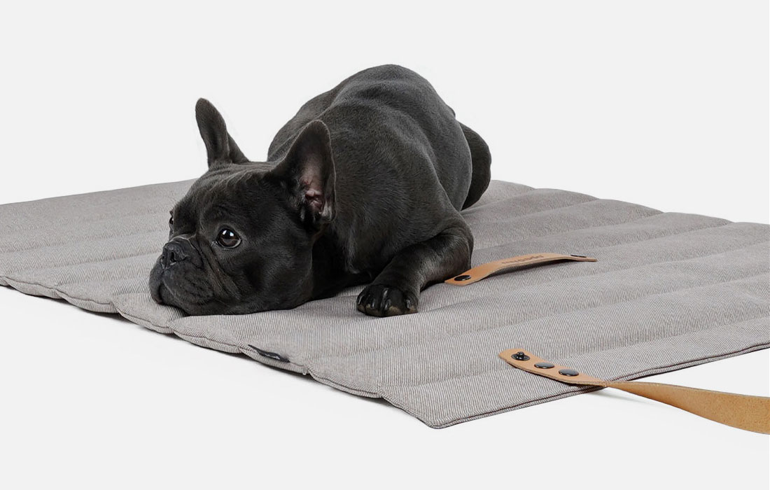 Roll-Up Hundedecke Stockholm