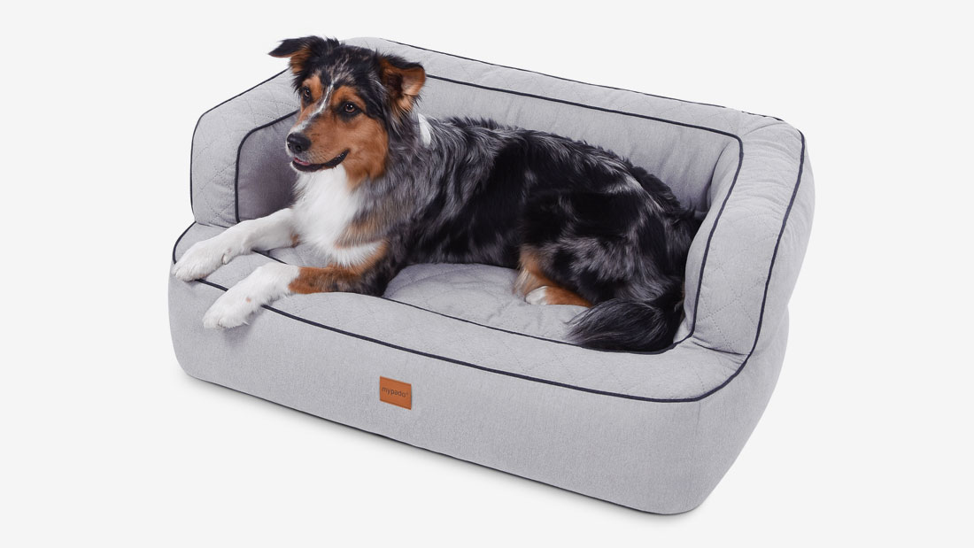 Neo Hundebett