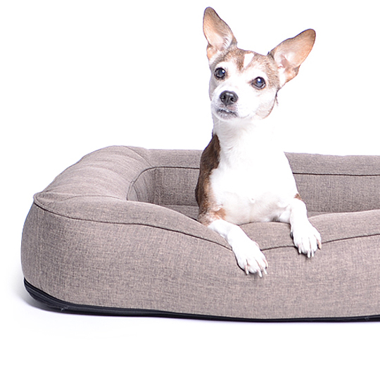 Spring-Softline-Hundebett