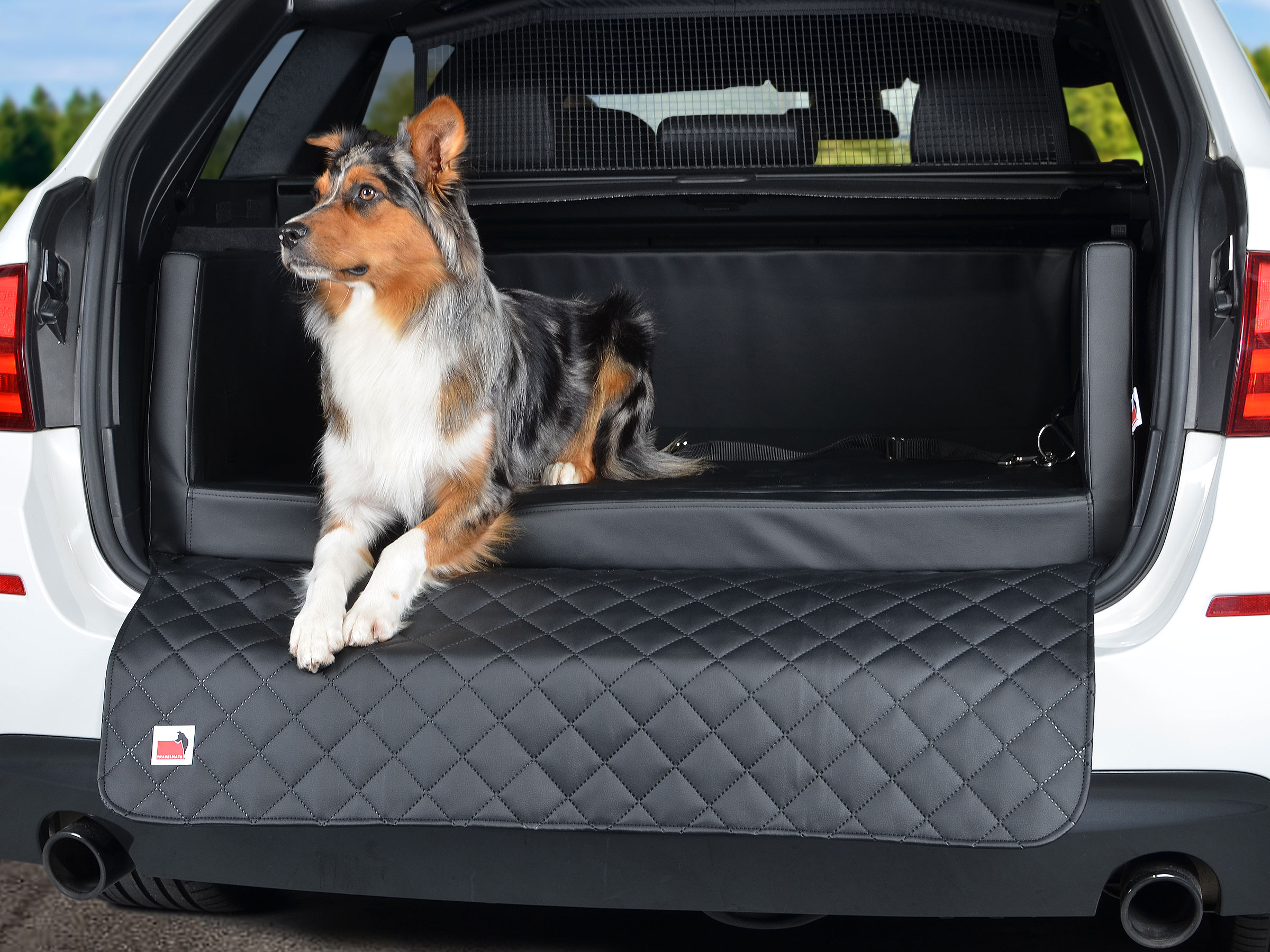 TIERVITAL NATURPRODUKTE - Hunde Auto Kofferraumbett Smart