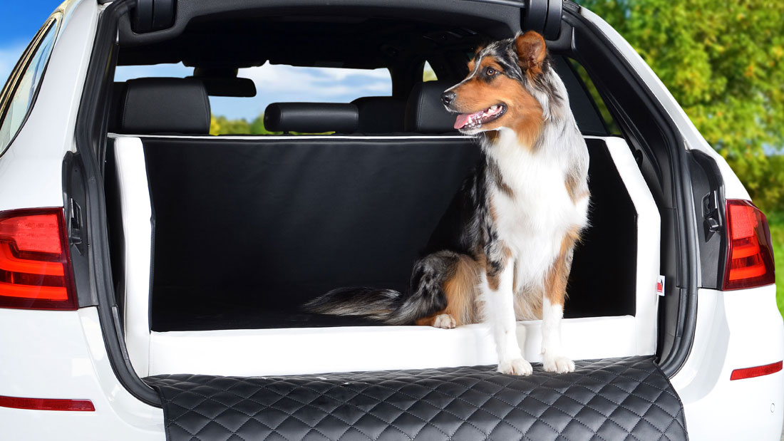 TIERVITAL NATURPRODUKTE - Hunde Autobett Travelmat Plus für Tesla Autos