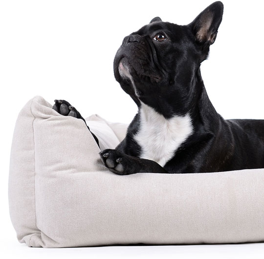 Comfort-Hundebett-World
