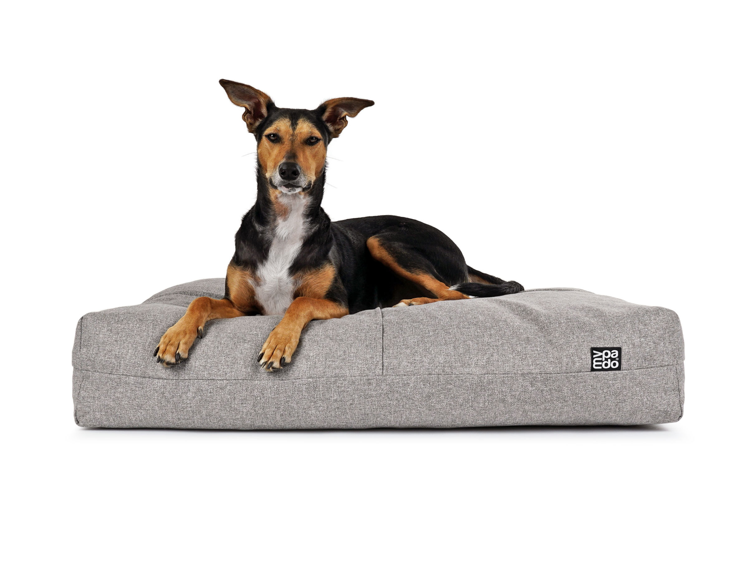 TOPSELLER Hundekissen Twiddle