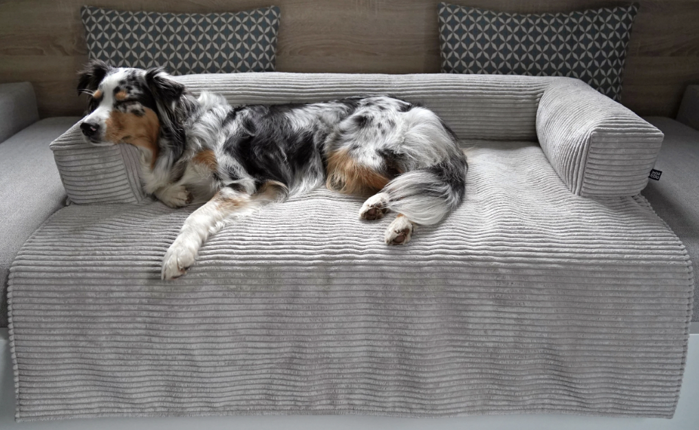 TIERVITAL NATURPRODUKTE - Sofaschutz Dakota Softline