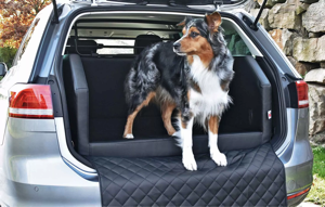 Hundereisebett Travelmat plus