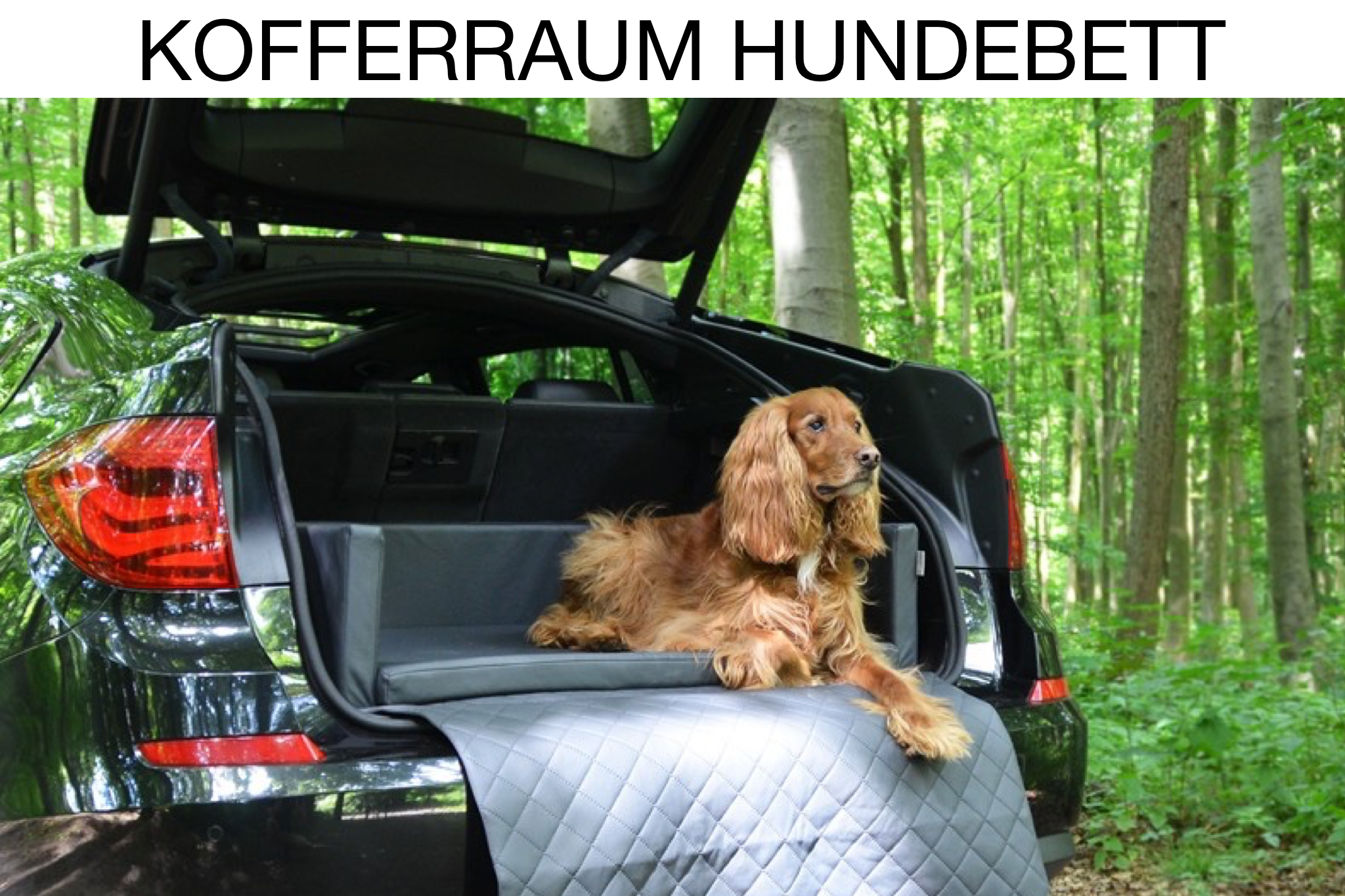 Hunde Autobett Travelmat Basic