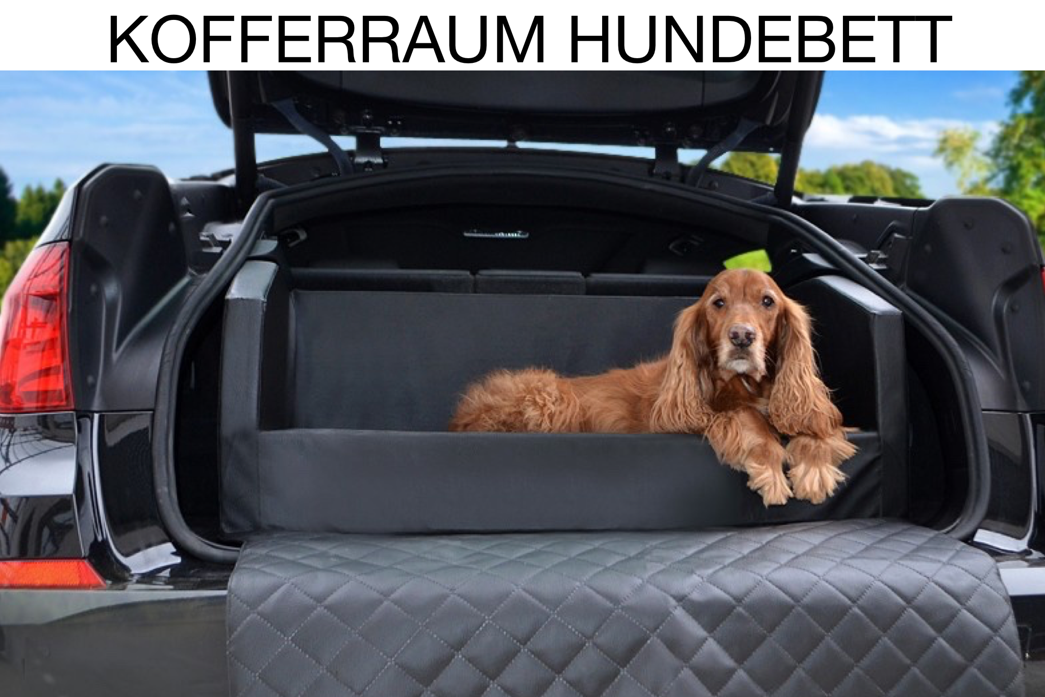 Hundereisebett Travelmat plus