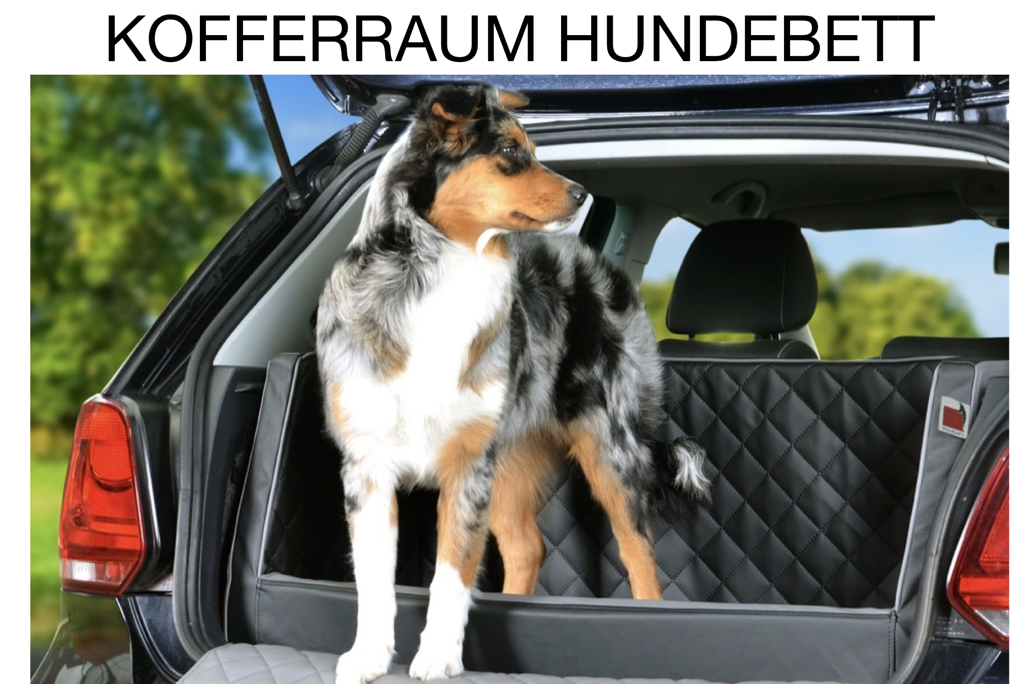 TIERVITAL NATURPRODUKTE - Auto Vordersitz Hundebett Unterlage Keilkissen