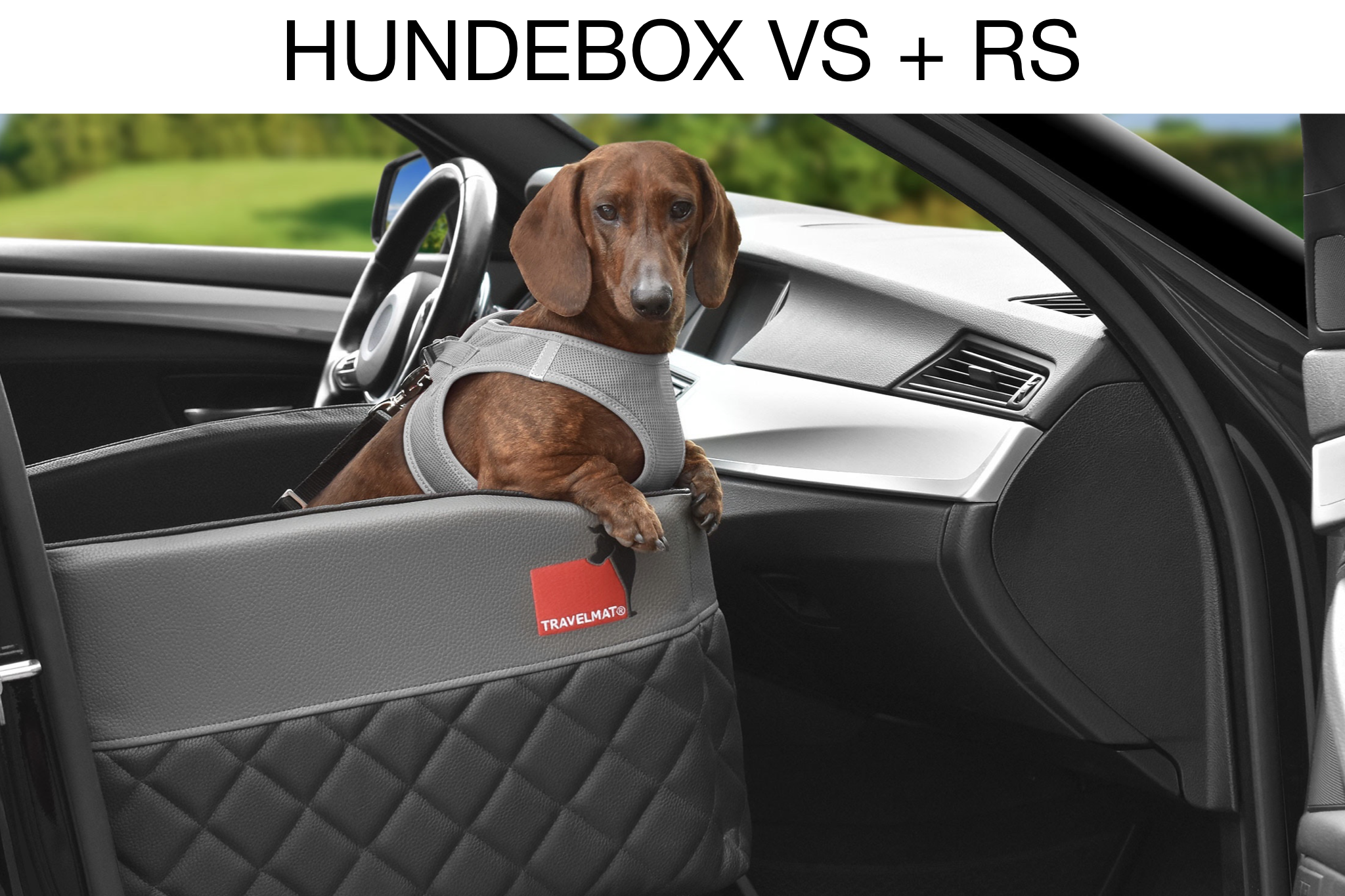 TIERVITAL NATURPRODUKTE - Hunde Transport