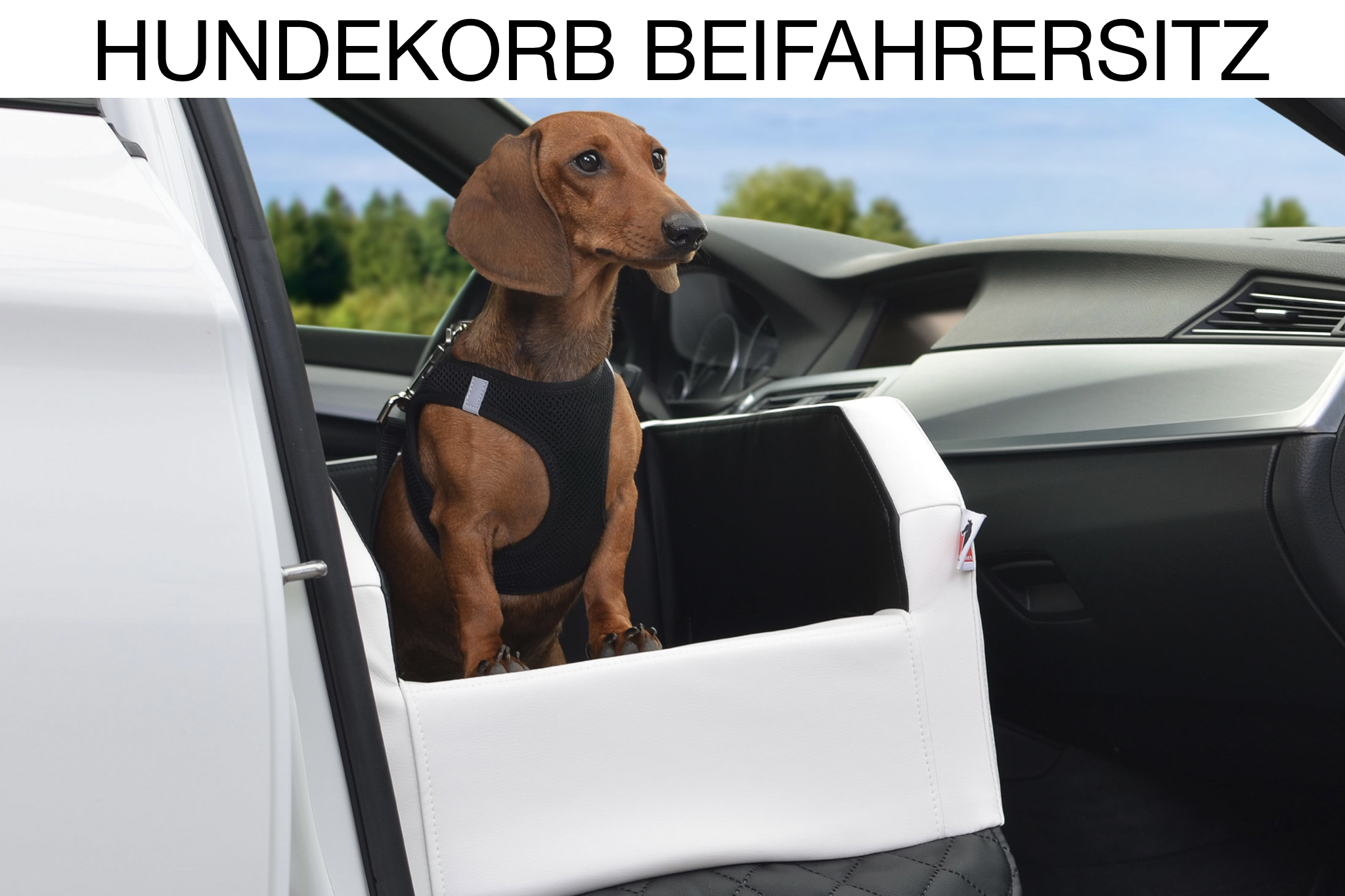 TIERVITAL NATURPRODUKTE - Auto Hundematratze Travelmat City  Sonderanfertigung