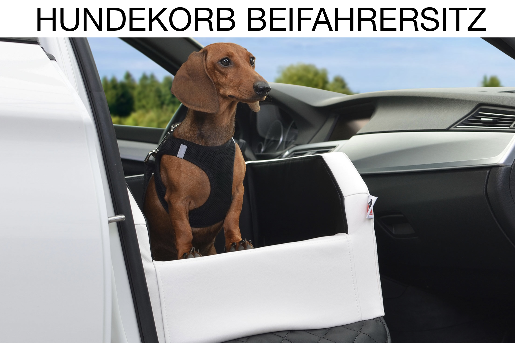 TIERVITAL NATURPRODUKTE - Hunde Autobett Travelmat Plus (AUDI)