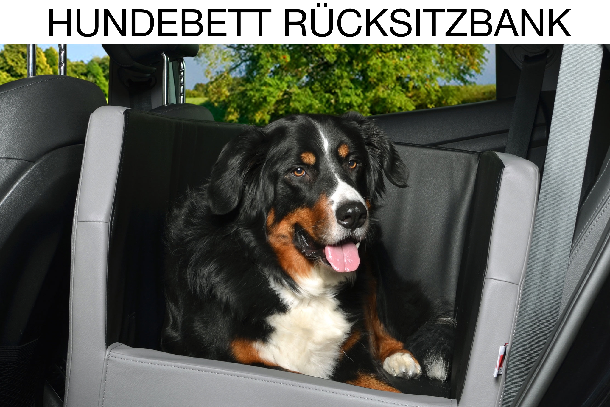 TIERVITAL NATURPRODUKTE - Auto Rücksitz Hundebett Travelmat RS Plus