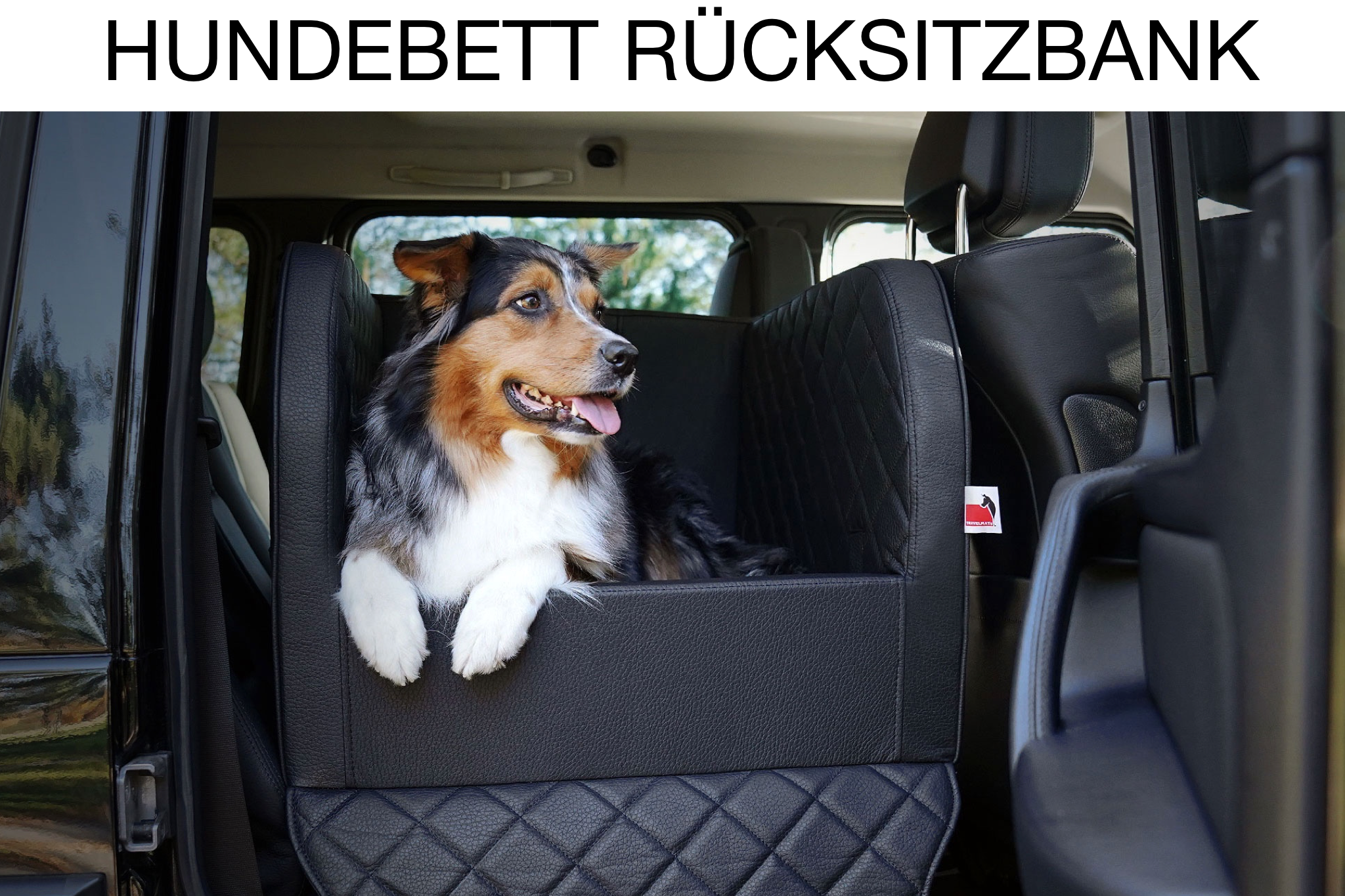 TIERVITAL NATURPRODUKTE - Auto Rücksitz Hundekorb so fährt der Hund im Auto  sicher mit