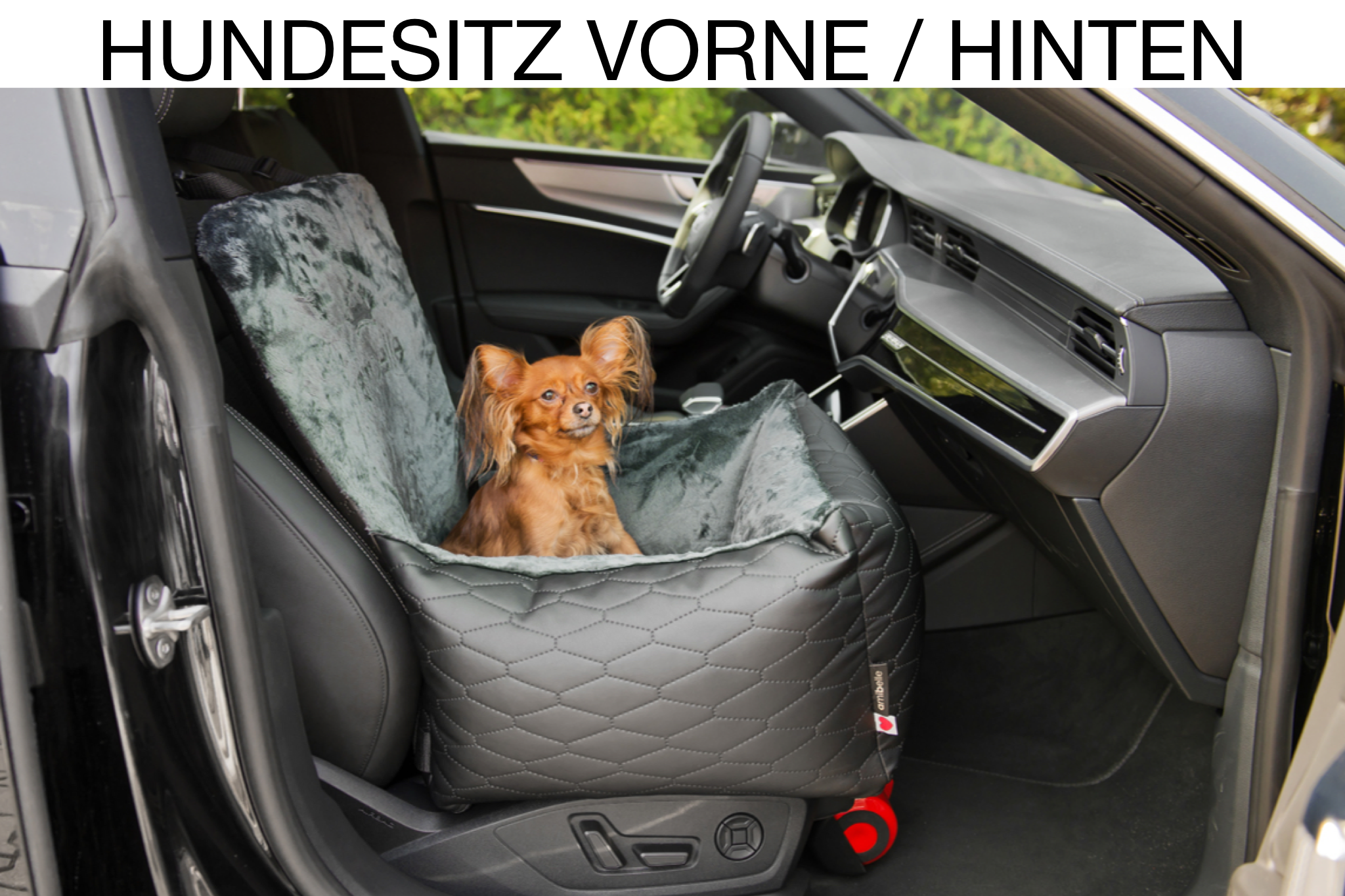 TIERVITAL NATURPRODUKTE - Auto Vordersitz Hundetransportbox