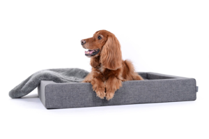 Harko Hundebett Softline