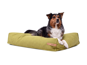 TIERVITAL NATURPRODUKTE - Hunde Sofaschutzdecke Schondecke