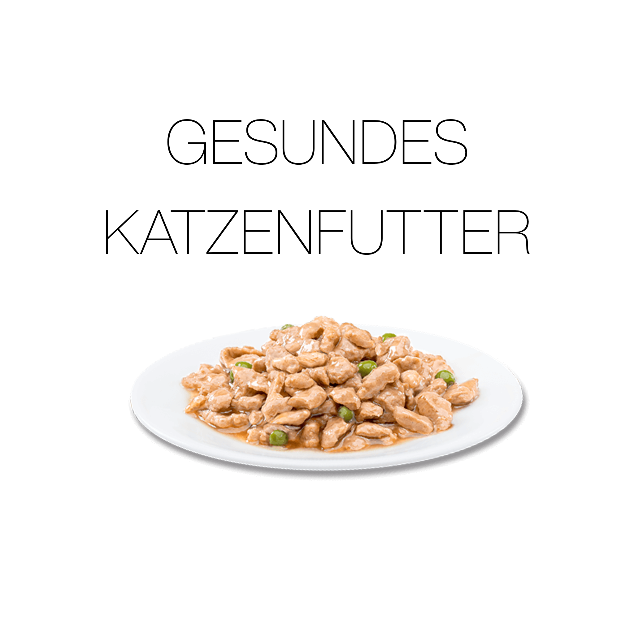 Gesundes Katzenfutter