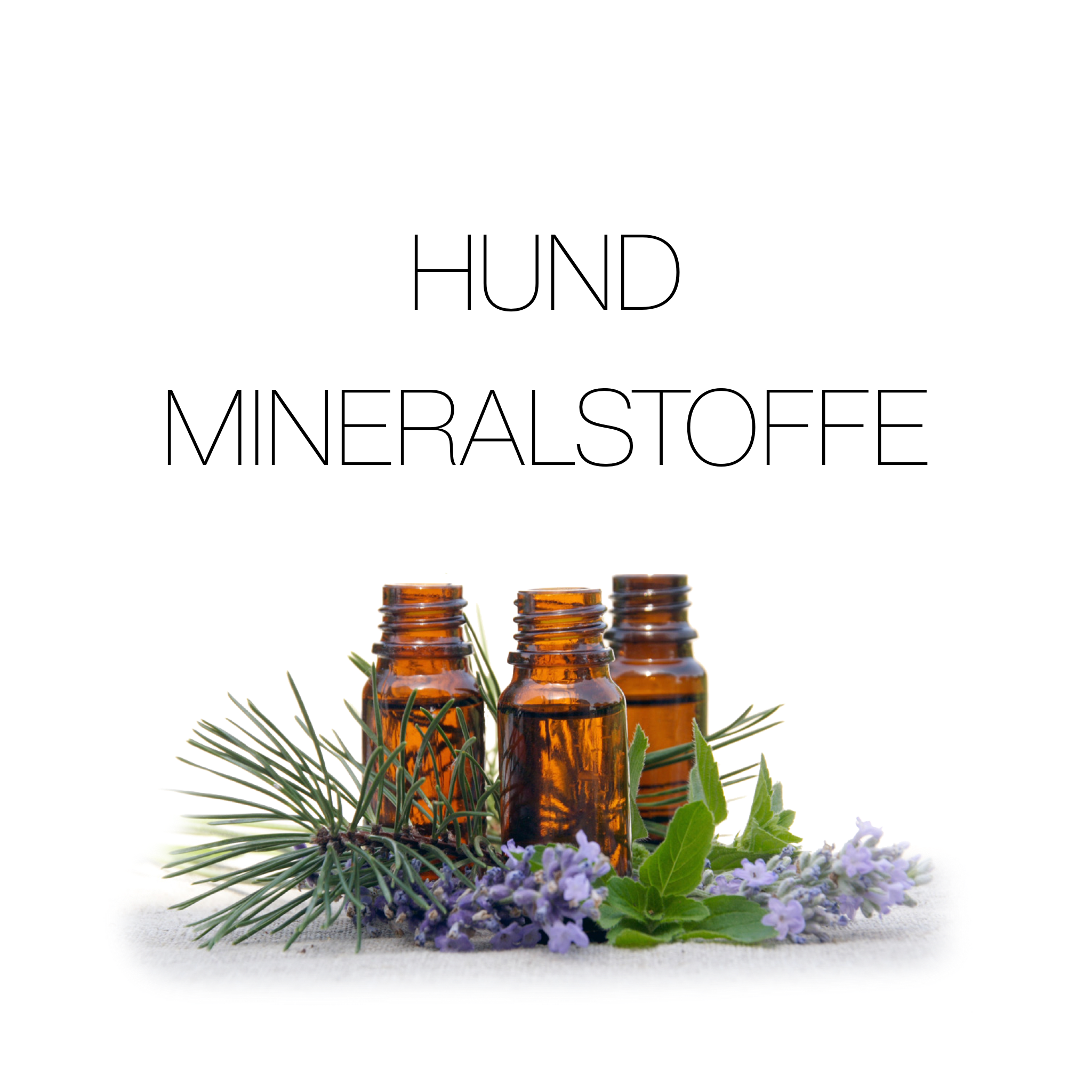 Ergänzungsfutter Hund Mineralstoffe