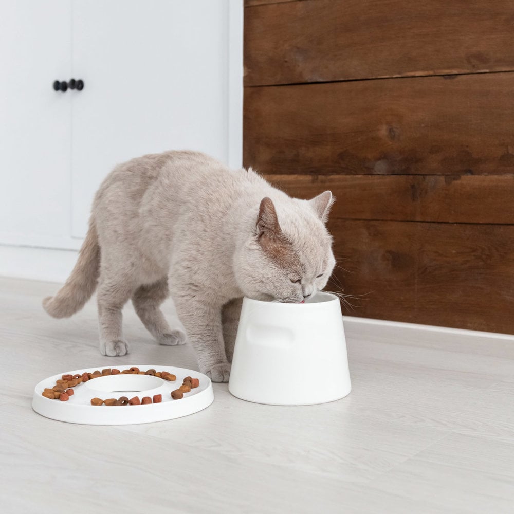 Katzen Trink & Freßnapf