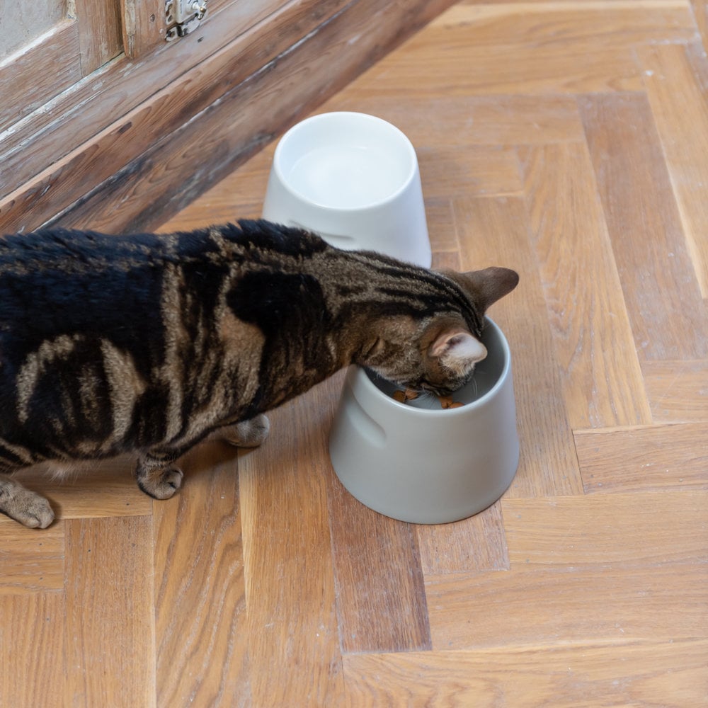 Katzen Trink & Freßnapf