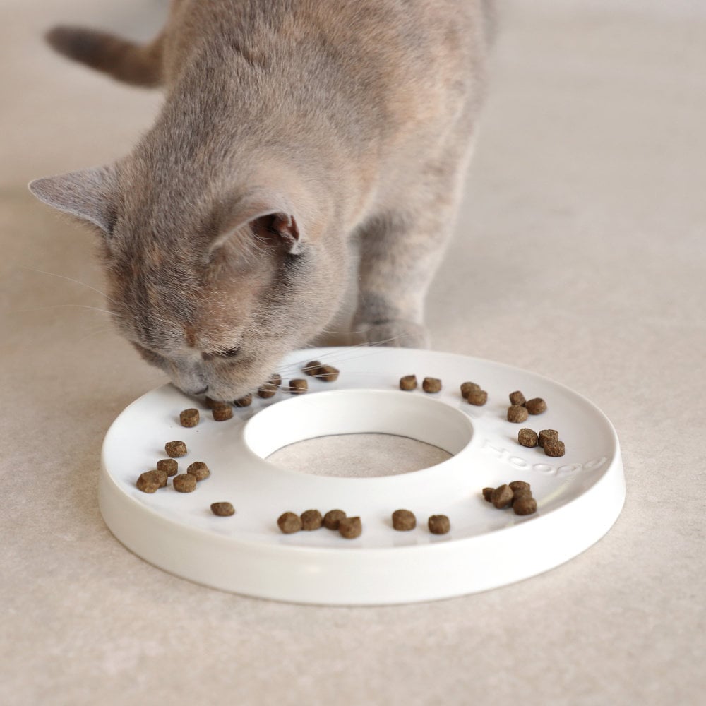 feeder ring für gesunde Nahrungsaufnahme