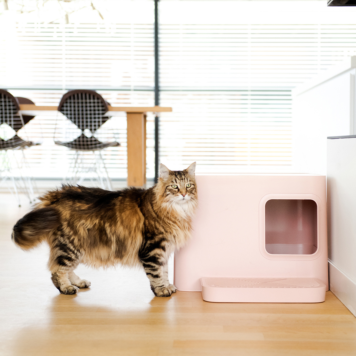 TIERVITAL NATURPRODUKTE - Stylische Katzentoilette