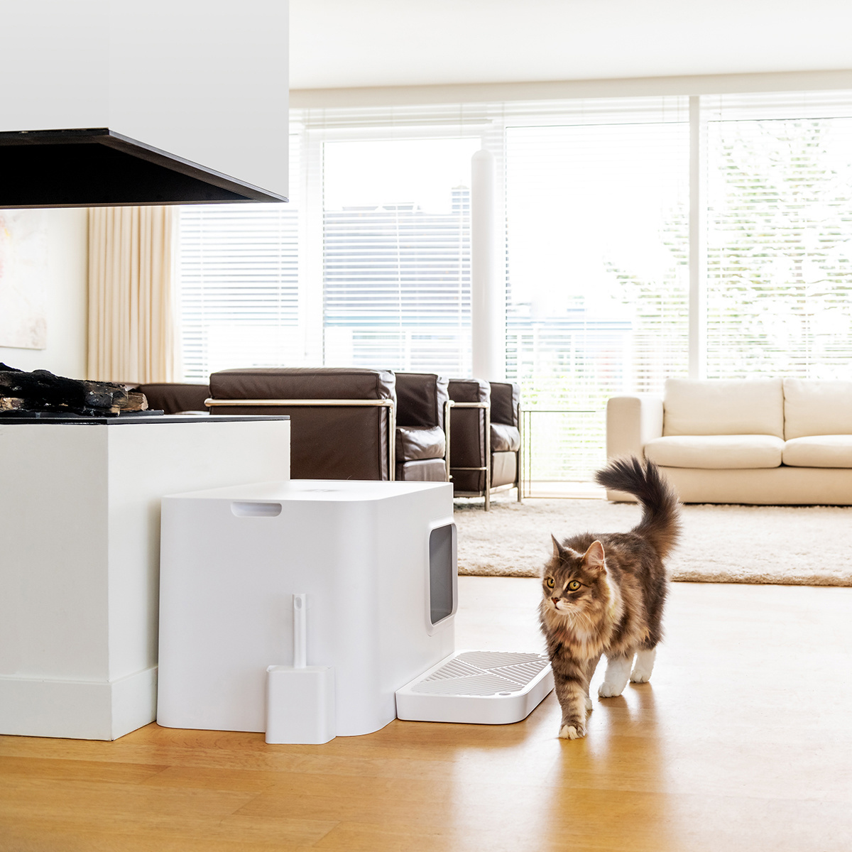 stylisches Katzenklo sauber modern