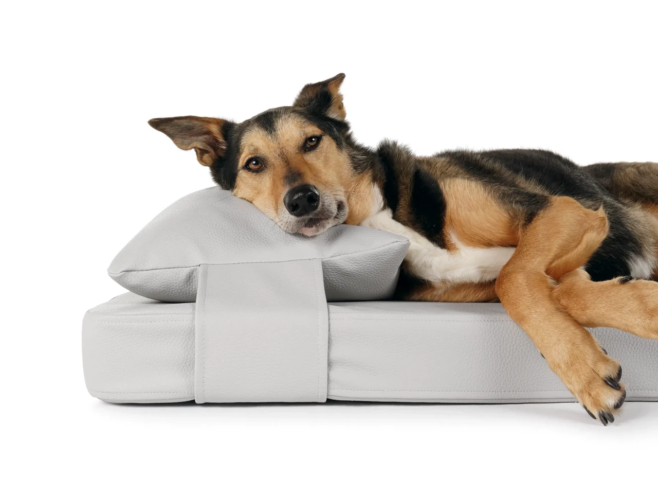 Nuvola Hundematte gestepptes Kunstleder Kopfkissen