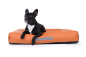 Preview: Montreal Hundebett Kunstleder terra 130x110 cm