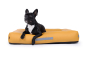 Preview: Montreal Hundebett Kunstleder gelb 110x90 cm
