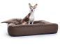 Preview: Hundebett Spring Softline 90x70 cm braun