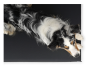 Preview: Solana Hundematte aus Kunstleder schwarz