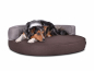 Preview: Atlanta Struqturo Hundebett brauncreme 130x110 cm