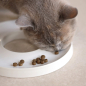 Preview: Keramiknapf Futternapf für Katzen