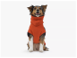 Preview: Hunde Bademantel ORANGE