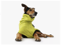 Preview: Hunde Bademantel PISTAZIE
