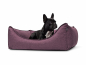Preview: Hundebett Dreamcollection Softline 70x50 cm violett