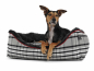 Preview: Hundebett_dreamer_checks_anthrazit