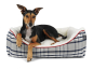 Preview: Hundebett_dreamer_checks_marine